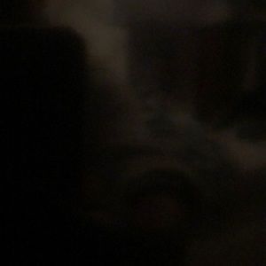 Meet your Posher, Shanita